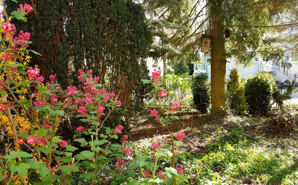Ferienhaus Sanssouci Stahnsdorf Zewnętrze zdjęcie